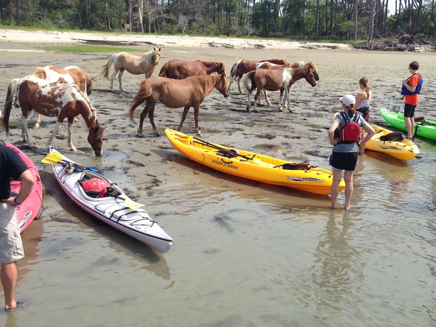From Chincoteague: Guided Kayak Tour to Assateague Island - Meeting at Chincoteague Veteran’s Memorial Park and getting set up fast