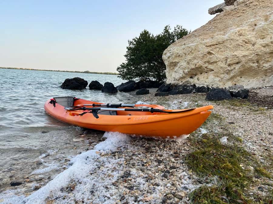 From Doha: Mangroves Kayaking Adventure - Key Things That Make This Tour Worth Your Time