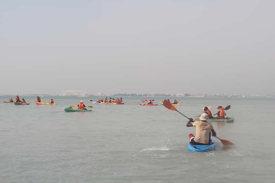 From Doha: Mangroves Kayaking Adventure - Why Al Thakira Mangroves Are Such a Good Kayak Choice