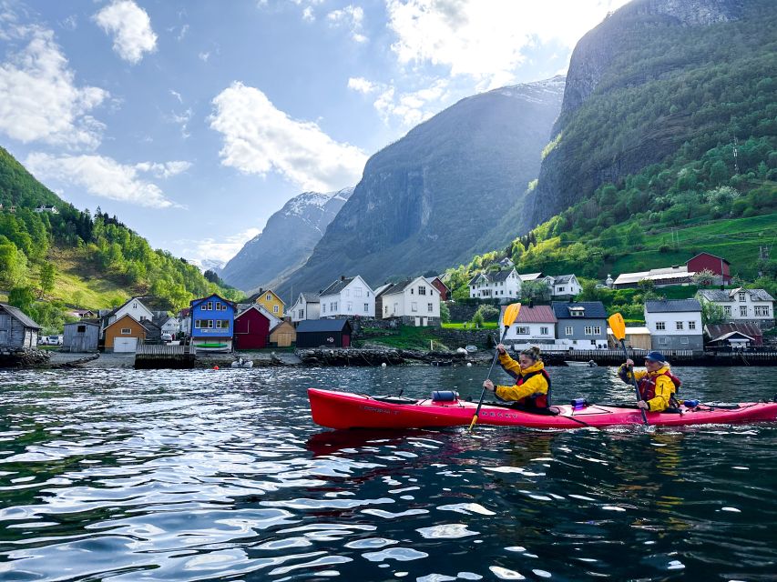 From Flåm: Nærøyfjord 3 Day Kayaking and Camping Tour - Wildlife, weather, and the guide effect (names you might see)