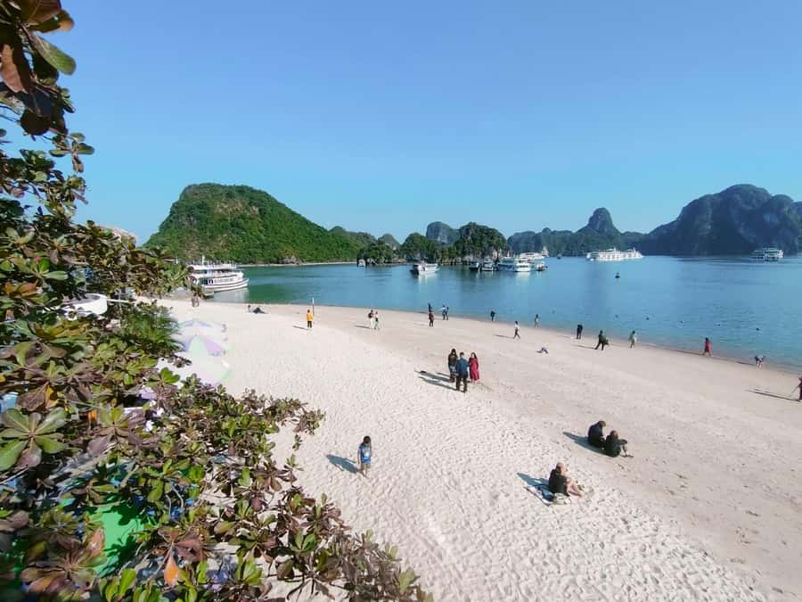 From Hanoi: Ha Long Bay Luxury Day Cruise with Food & Kayak - Luon Cave: kayak for freedom, bamboo boat for comfort