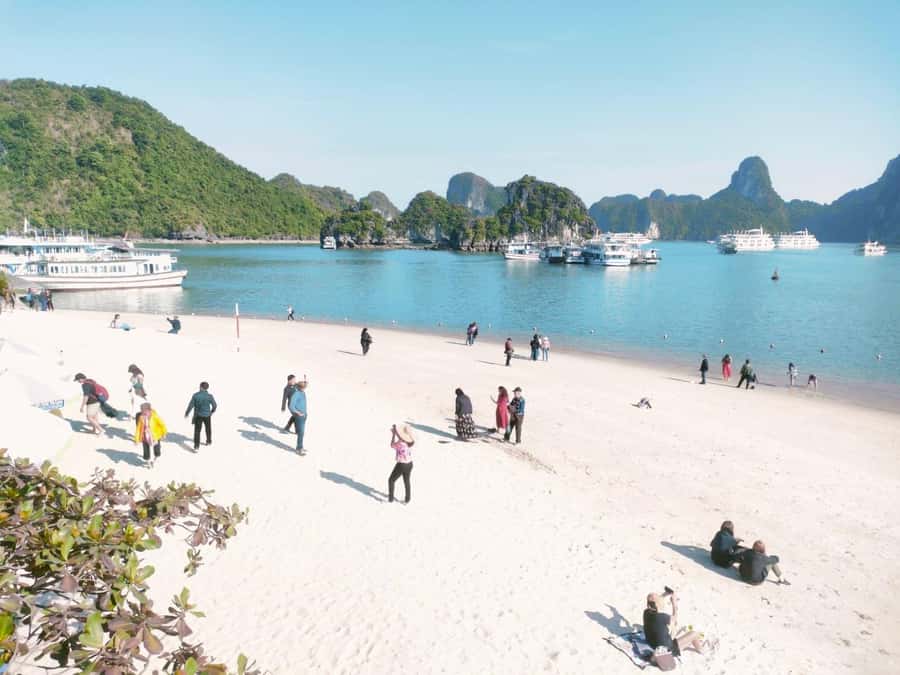 From Hanoi: Ha Long Bay Luxury Day Cruise with Food & Kayak - Food on board and overall value: what $26 really buys