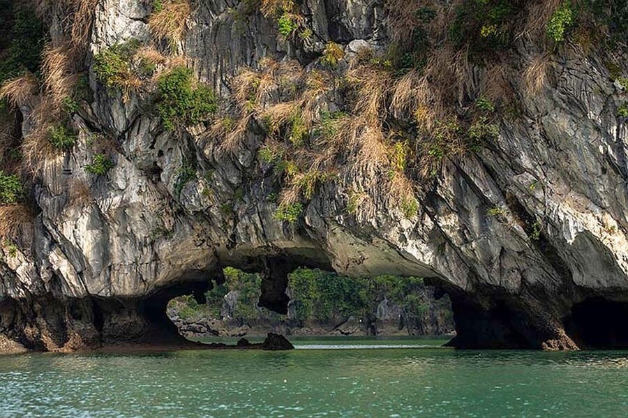 From Khao Lak: Premium James Bond Sunset and Canoe Adventure - Bioluminescent plankton at night: the moment you’ll talk about later