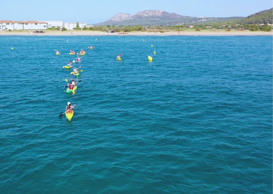 From L'Estartit: Sea Kayaking Tour to the Medes Islands - Swim and snorkel-style time: seeing marine life up close