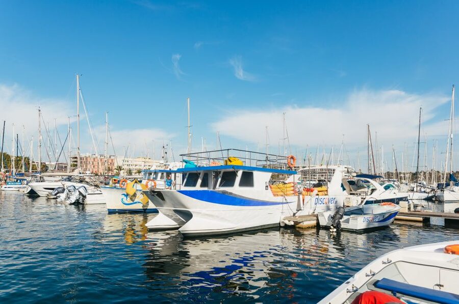 From Lagos: Kayaking and Boat Cave Explorer Tour - From Boat to Ponta da Piedade: How the Tour Gets You Ready
