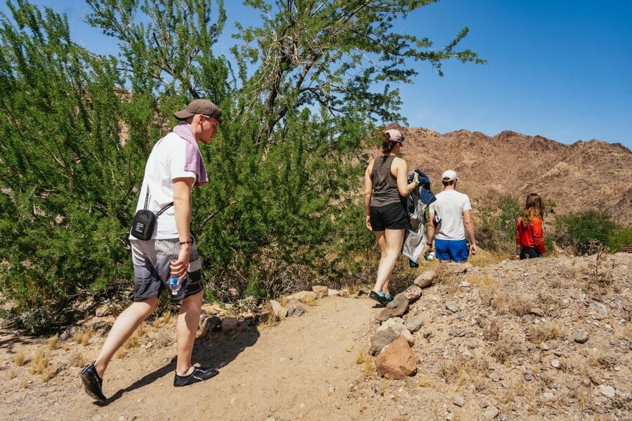 From Las Vegas: Black Canyon Half-Day Kayak Tour - Wildlife spotting without turning it into a chase