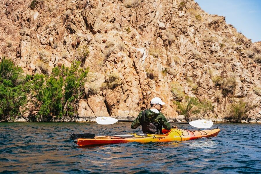 From Las Vegas: Black Canyon Half-Day Kayak Tour - Price and value: what $149 buys you for a half-day