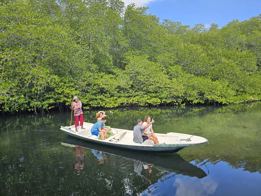 From Lembongan: Kayak/Paddleboard/Boat Mangrove Tour - Price and value: why $10 can be a smart buy