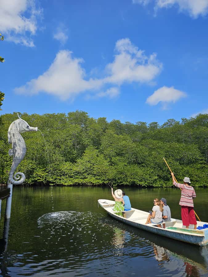 From Lembongan: Kayak/Paddleboard/Boat Mangrove Tour - Mangrove Point: what happens during your hour