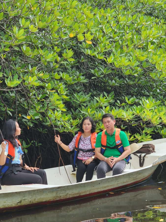 From Lembongan: Kayak/Paddleboard/Boat Mangrove Tour - Timing and tides: why 08:30 and 10:30 matter