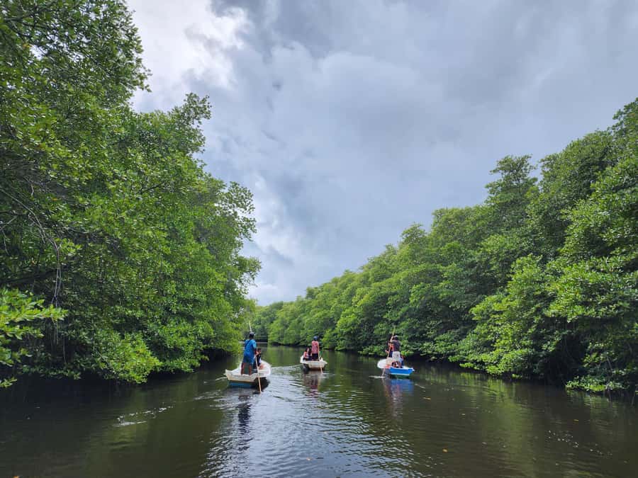From Lembongan: Kayak/Paddleboard/Boat Mangrove Tour - What to pack (and what not to expect)