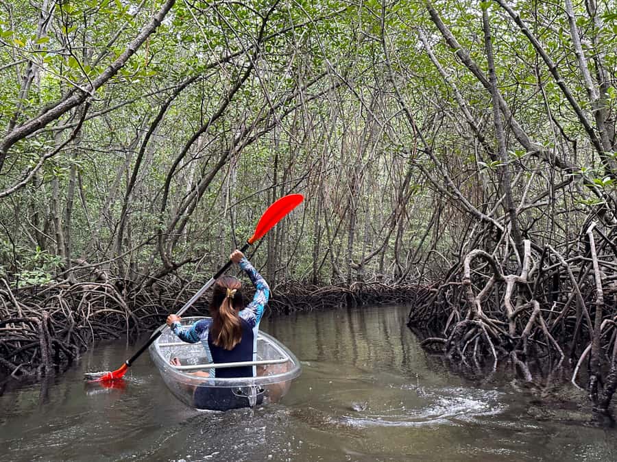 From Lembongan: Kayak/Paddleboard/Boat Mangrove Tour - Getting to the start: pickup rules on Nusa Lembongan