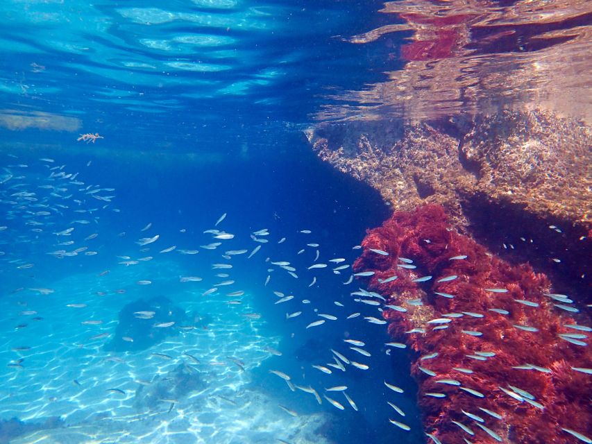 From Lisbon: Arrábida Natural Park Kayak Tour with Lunch - Price and Value at $57: What You’re Really Paying For