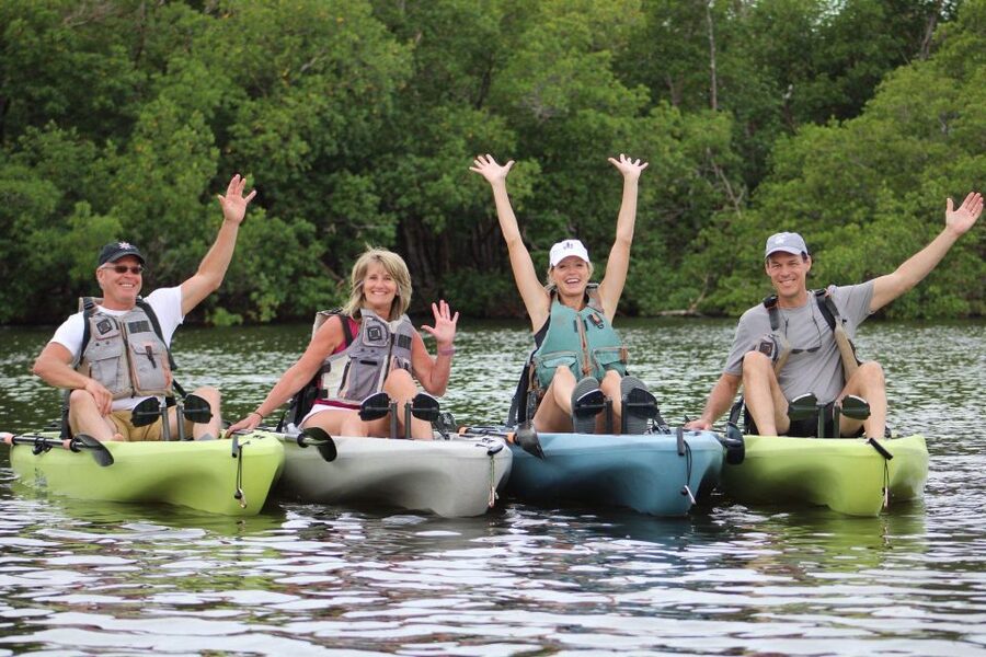From Naples, FL: Marco Island Mangroves Kayak or Paddle Tour - Wildlife Odds: Dolphins, Manatees, Seabirds, and Everyday Coastal Life
