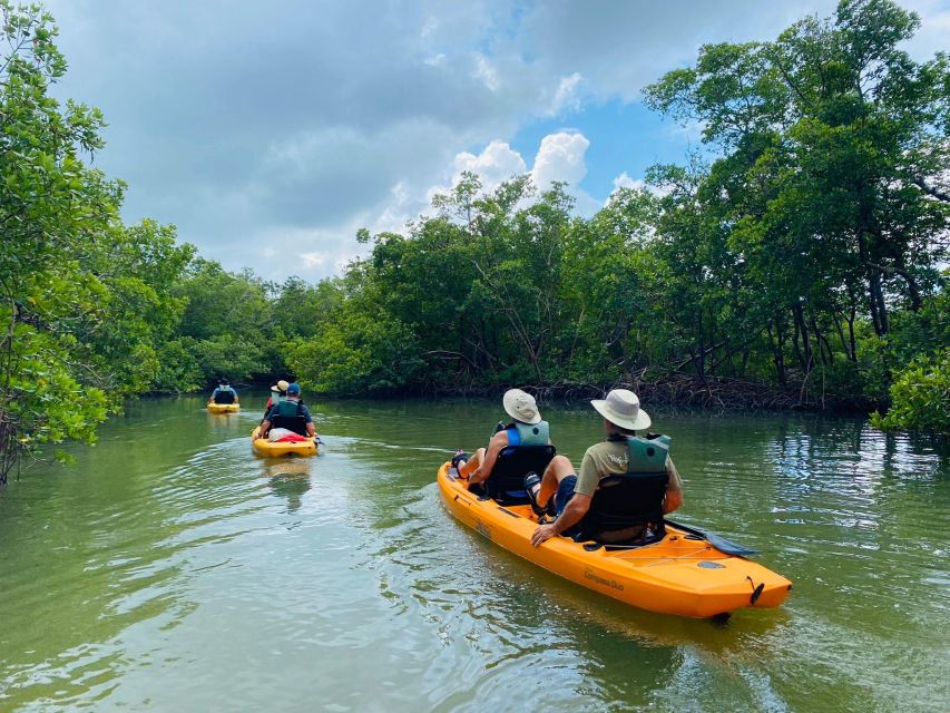 From Naples, FL: Marco Island Mangroves Kayak or Paddle Tour - Learn While You Glide: Why the Ecosystem Talk Makes This Worth It