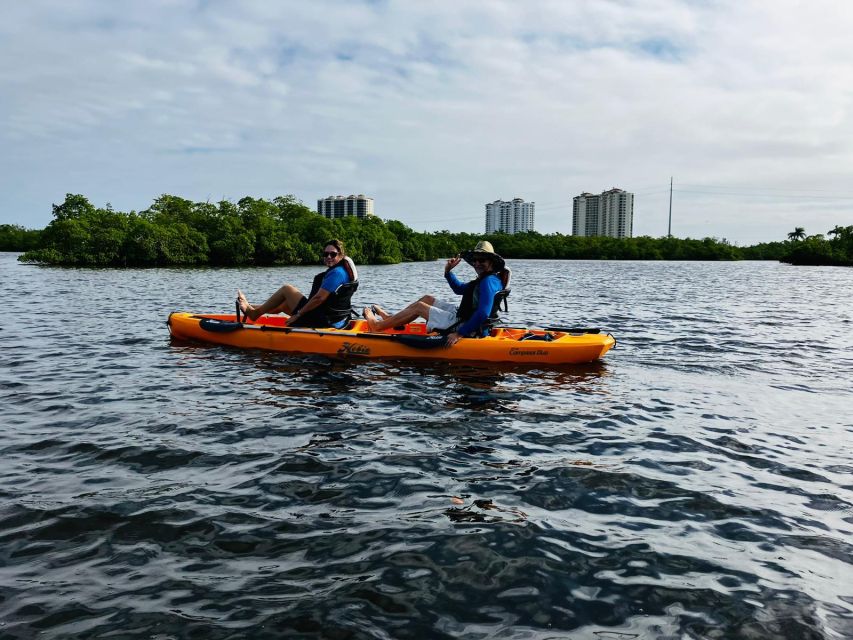 From Naples, FL: Marco Island Mangroves Kayak or Paddle Tour - The Photo Moment and Free Photos After the Tour