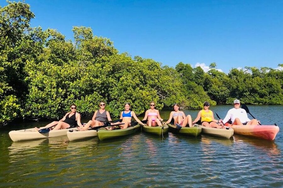 From Naples, FL: Marco Island Mangroves Kayak or Paddle Tour - Price and Value: Is $59 a Good Deal for 2 Hours?