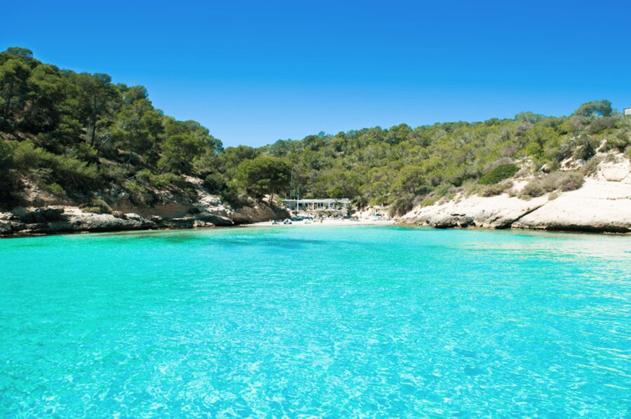 From Palma: Portal Vells Beach and Cave SUP & Snorkel Tour - Stop one: Platgeta de Portals Vells and 3 hours of real water time