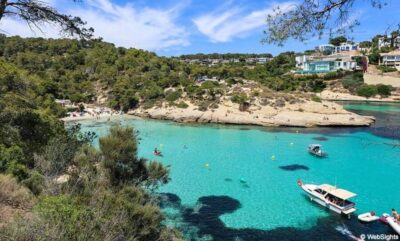 From Palma: Portal Vells Beach and Cave SUP & Snorkel Tour - Getting to the coast from Palma: pickup, van time, and how it flows