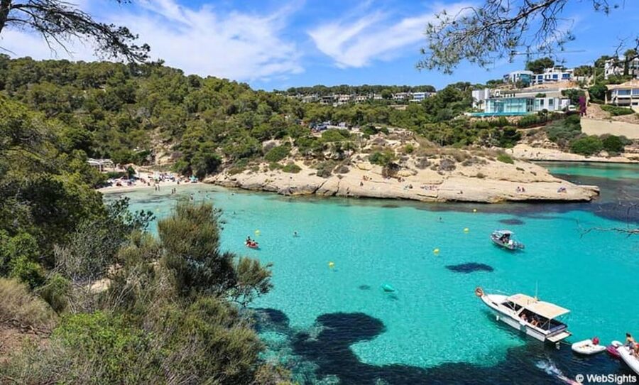 From Palma: Portal Vells Beach and Cave SUP & Snorkel Tour - Getting to the coast from Palma: pickup, van time, and how it flows