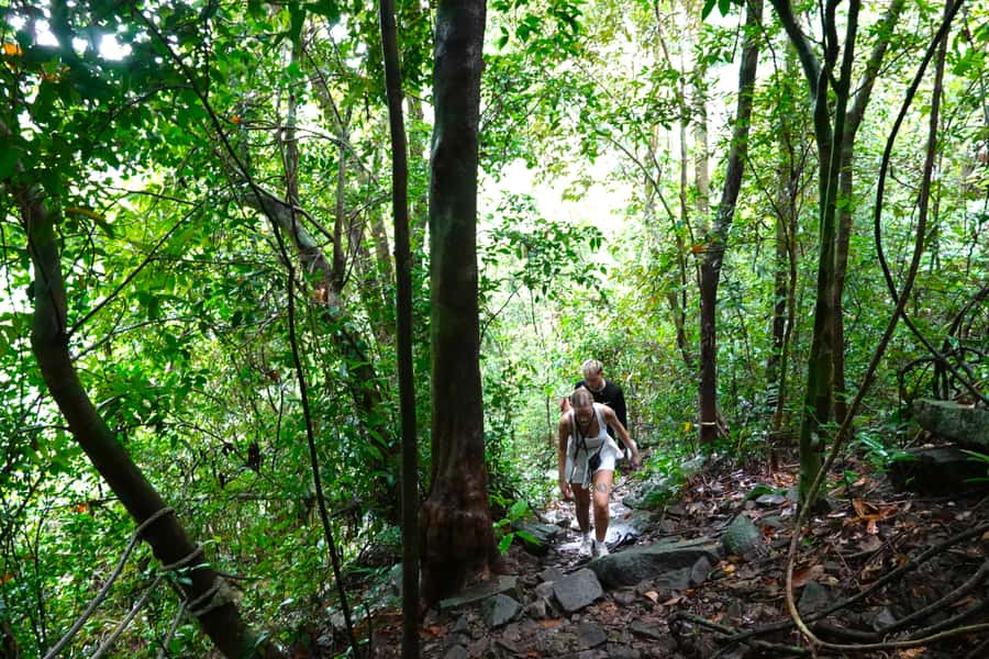 From Pattaya: Rayong Adventure Hike and Kayak Day Trip - Key points you’ll care about