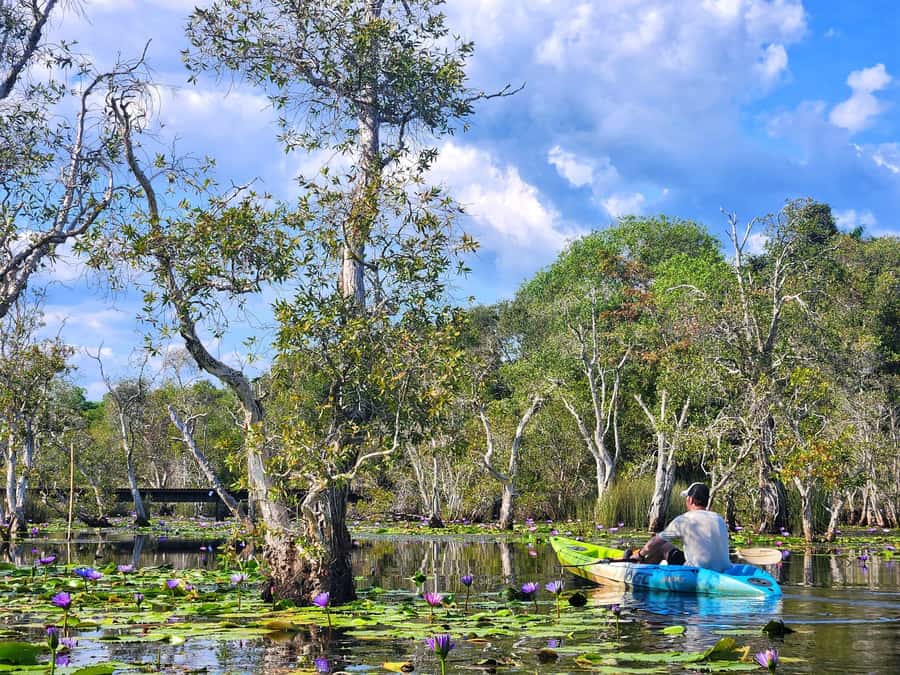 From Pattaya: Rayong Adventure Hike and Kayak Day Trip - The 12-hour rhythm: how the long day actually works