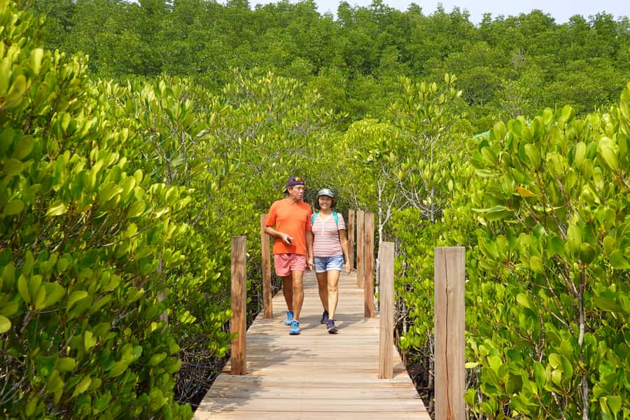 From Pattaya: Rayong Adventure Hike and Kayak Day Trip - Rayong Botanical Garden kayaking: wetlands, ancient forest feel, and real paddling