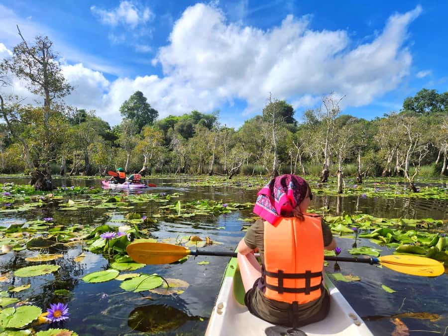 From Pattaya: Rayong Adventure Hike and Kayak Day Trip - Guide-led safety: why this tour works so well