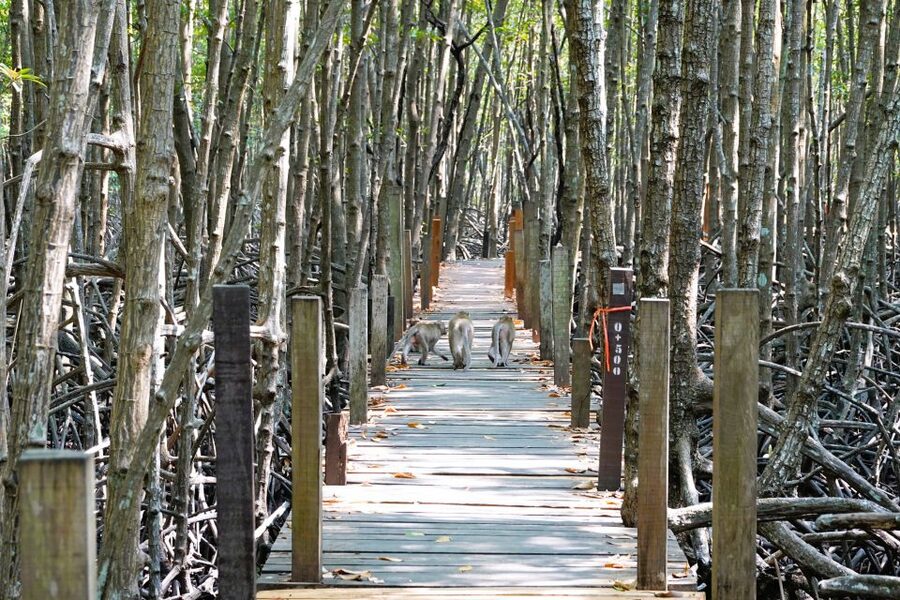 From Pattaya: Rayong Adventure Hike and Kayak Day Trip - What to pack (and what to wear) for hike + kayak in one day
