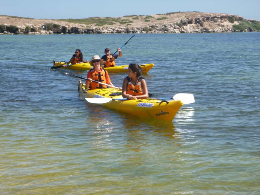 From Perth: Rockingham Seal & Penguin Islands Sea Kayak Tour - Seal Island: the short paddle to Australian sea lions