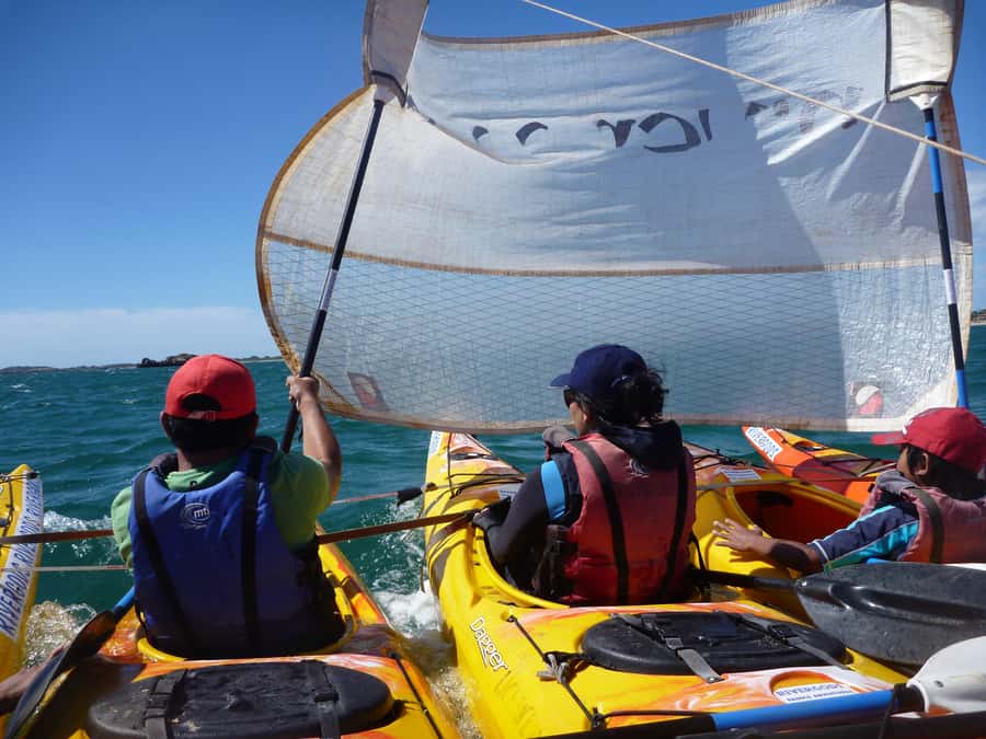 From Perth: Rockingham Seal & Penguin Islands Sea Kayak Tour - What’s included (and what you should bring)