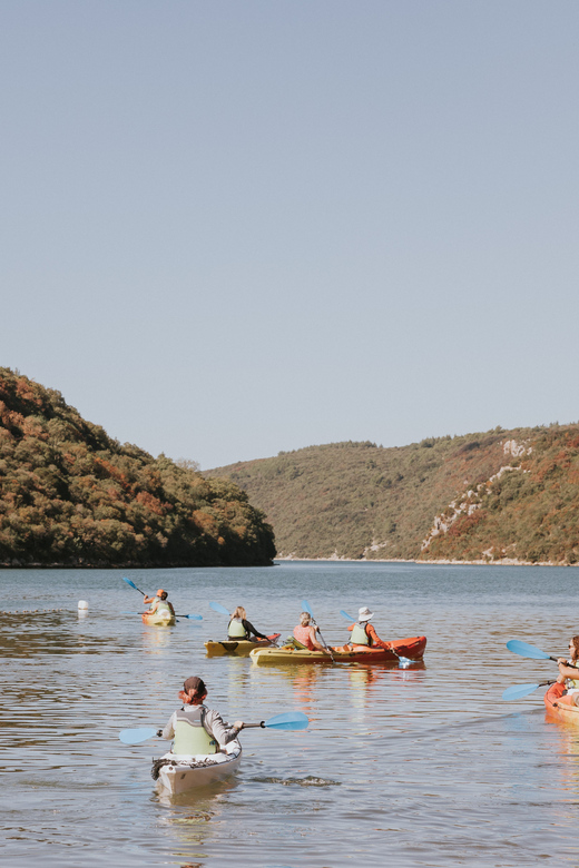 From Poreč: Lim Bay Sea Kayaking Day Trip - Key Things That Make This Lim Bay Kayaking Worth Your Time