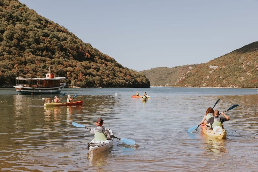 From Poreč: Lim Bay Sea Kayaking Day Trip - Price and Value: Where the $70 Actually Lands
