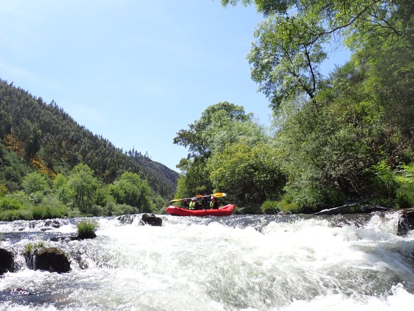 From Porto: Paiva River Canoe Rafting Adventure Tour - Arouca after rafting: food, coffee, and a classic Portuguese sweet finish