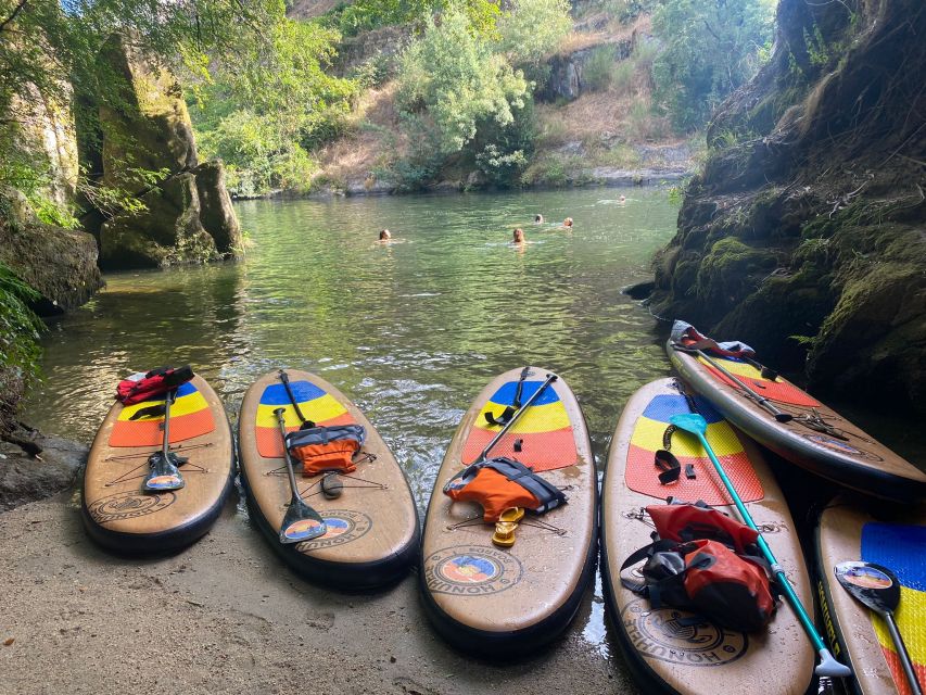 From Porto: SUP Paiva River Tour with Transfer - What you do during the 2.5 hours on the water