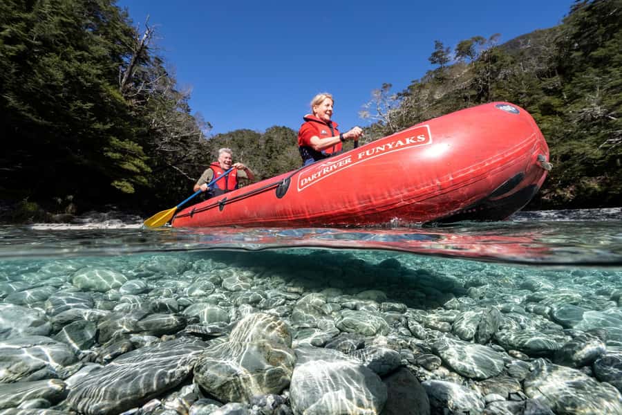 From Queenstown: Dart River Canoe & Jet Boat Day Trip - Price and value: what $256 buys in real time outside