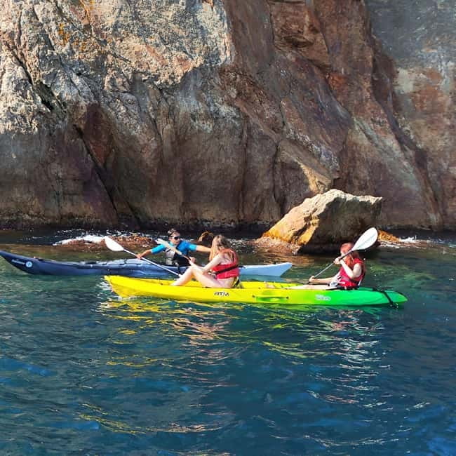 From Sant Feliu de Guíxols: Kayak and Snorkel in Costa Brava - Snorkeling in clear water: what you’ll see and the rules that matter