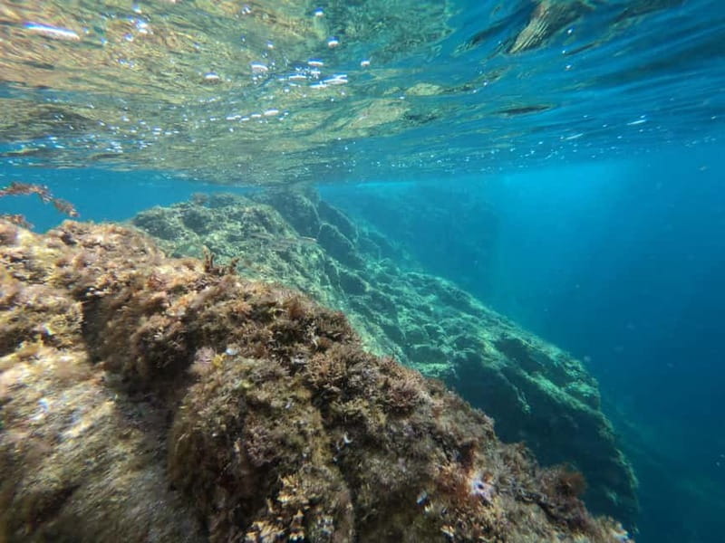 From Sant Feliu de Guíxols: Kayak and Snorkel in Costa Brava - Who this works for (and who should reconsider)