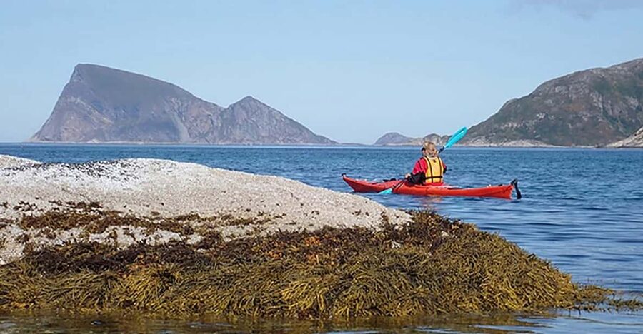 From Tromsø: Sea Kayaking Tour at Sommarøy - Weather, Wind, and Why Sommarøy Is Still Worth It
