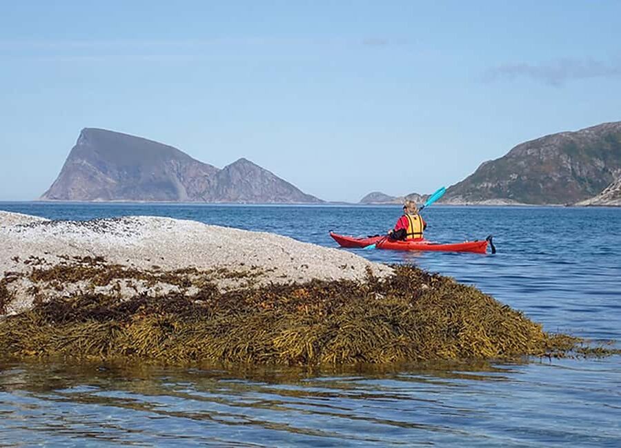 From Tromsø: Sea Kayaking Tour at Sommarøy with Transfer - Your Guide Matters: Safety and Personality on the Water