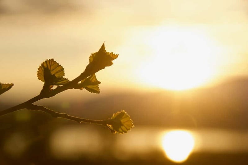 From Tromsø: Sommarøy Midnight Sun Sea Kayaking Tour - Weather, timing, and planning your other Tromsø days