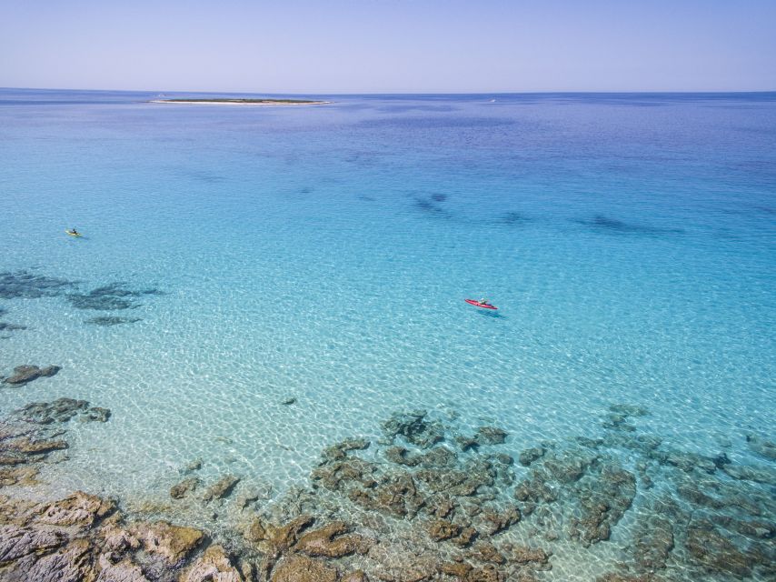 From Zadar: Dugi Otok Half-Day Kayak Adventure - Zadar to Dugi Otok: what this trip really feels like