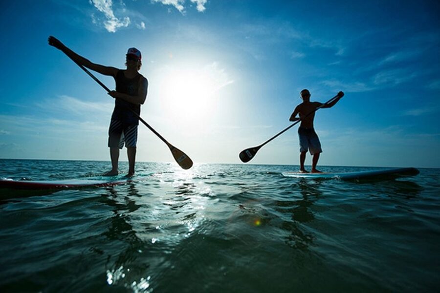 Fuerteventura: 1.5-Hour SUP Course - Caleta de Fuste - Getting on the board: meeting point and what the start feels like