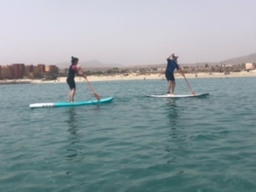 Fuerteventura: 1.5-Hour SUP Course - Caleta de Fuste - Learning SUP basics the fast way: from knees to standing
