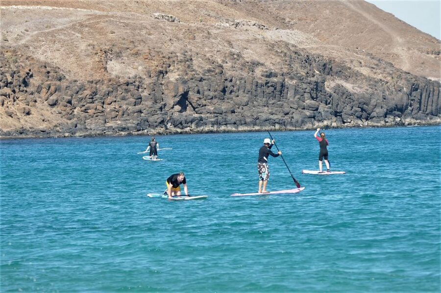 Fuerteventura: 1.5-Hour SUP Course - Caleta de Fuste - What you’ll actually do during the 1.5 hours