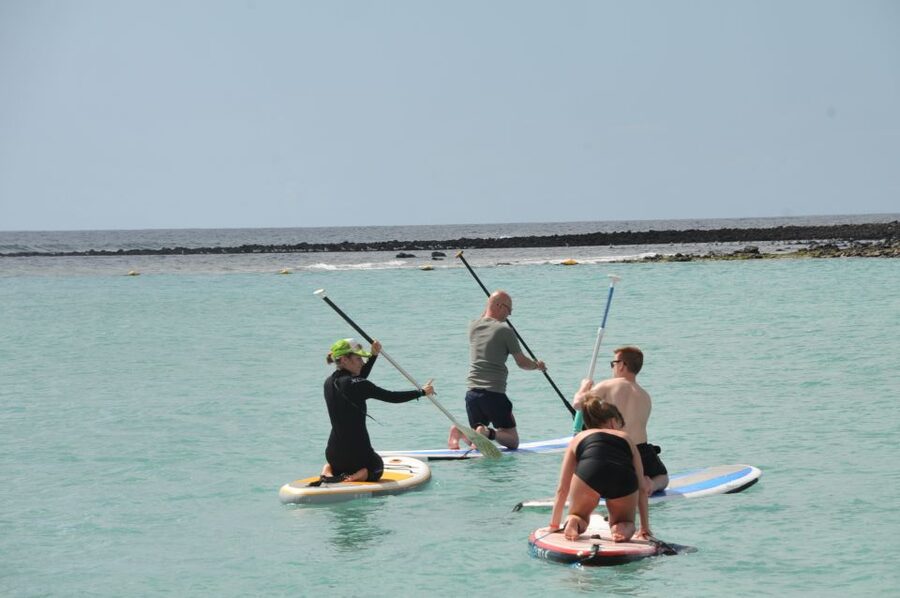 Fuerteventura: 1.5-Hour SUP Course - Caleta de Fuste - Who should book this SUP course in Caleta de Fuste?