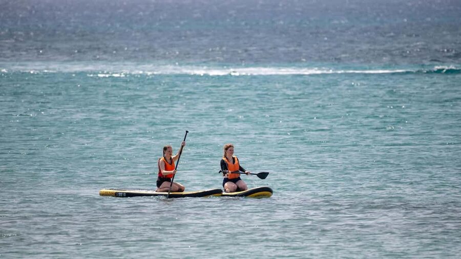 Fuerteventura: Explore Costa Calma Bay on a SUP Board! - Where you meet: Shaka Center by All Sun Hotel