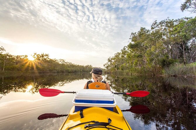 Full-Day Guided Noosa Everglades Kayak Tour - Key highlights I’d plan around