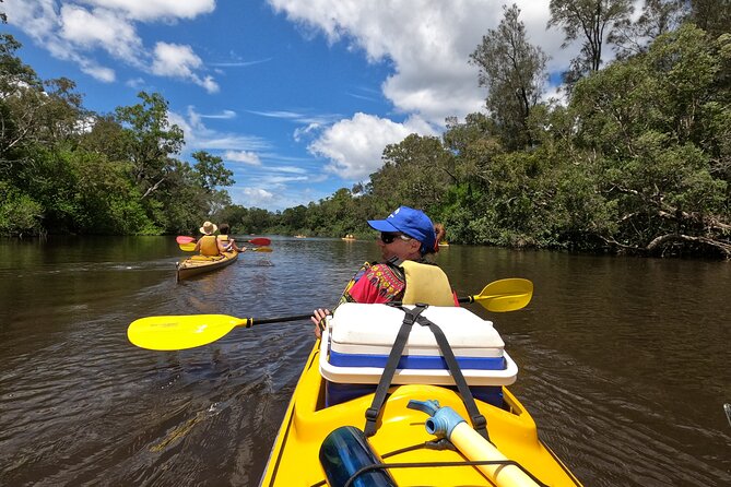 Full-Day Guided Noosa Everglades Kayak Tour - Lake Cootharaba, Lake of Lillies, and Fig Tree Lake: what these stops do for your day