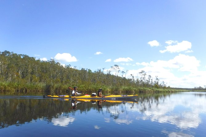 Full-Day Guided Noosa Everglades Kayak Tour - Food on the waterfront: brunch-style lunch that actually sustains paddling